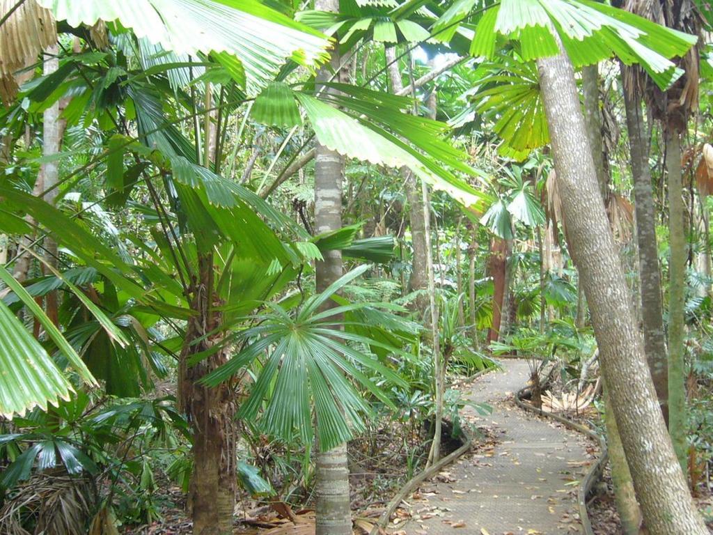 Port Douglas Retreat Eksteriør billede