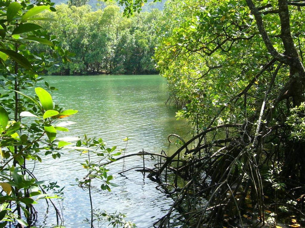Port Douglas Retreat Eksteriør billede